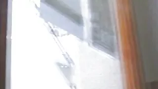 নষ্ট হয়ে যাওয়া তাজ ...