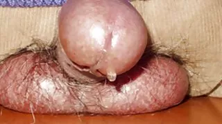 সোজা চুলের স্বর্ণকেশ ...