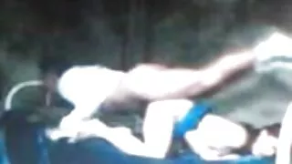 কালো শৃঙ্গাকার হিজড় ...