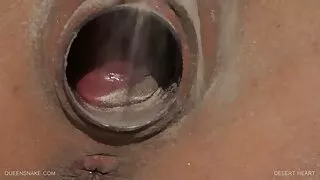প্রতারক বিএফ সেক্সি  ...