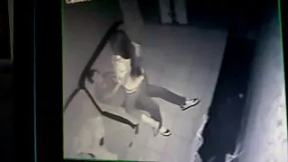 ভয়ঙ্কর ডিক রাইডার আ ...