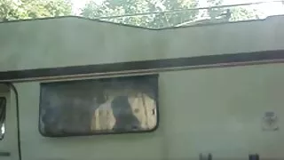 কোঁকড়া ছোট কেশিক বা ...