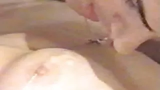 বুটিলিসিয়াস আবলুস ন ...