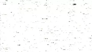 আদার ছানা রাইড শার্ড ...