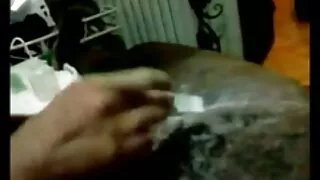 সরু ইউক্রেনীয় ব্রুন ...
