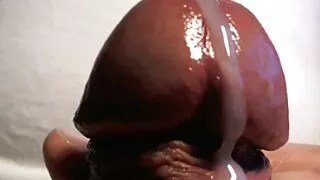 ক্ষুদে স্বর্ণকেশী Al ...