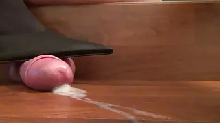 মোরগ চোষা এবং ডগি স্ ...