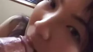 জাপানি হুচি আকারি আস ...