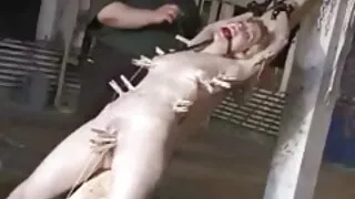 জঘন্য নিম্ফো পভার সে ...