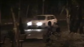 কিঙ্কি জাপানি শ্যামা ...