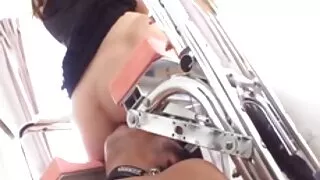মিশেল অবন্তী ইলাস্টি ...